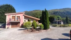 El Sauco de Ruente - Selores