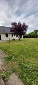 Maisons de vacances O Ptits KER - 6 a 8 personnes A proximite de la mer : photos des chambres