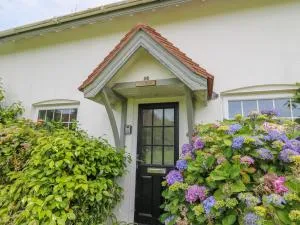 Sea Rose - Blaenporth