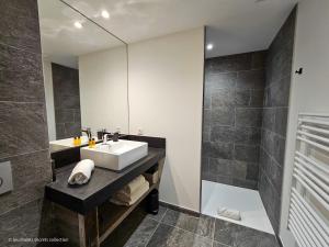 Appartements Collection Cassiopee - Les Chalets Secrets : photos des chambres
