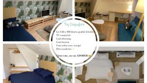 Appartements Appartement 3 chambres centre ville Cholet 25min du Puy duFou : photos des chambres