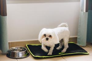 Hotels Hotel Liberata & Spa : photos des chambres