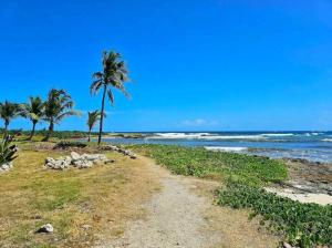 Oceanfront apartment in Oistins!