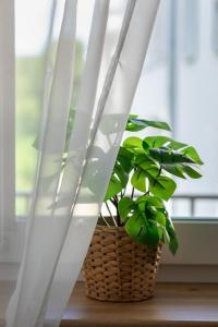 Słoneczny i Przestronny Apartament w Sercu Szczecina by Noclegi Renters