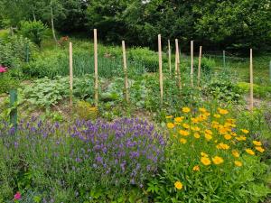 Yellow house Javornik