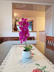 Yellow house Javornik