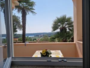 Apartman Oliva