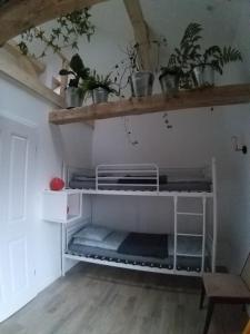Dębowy Domek Agroturystyka