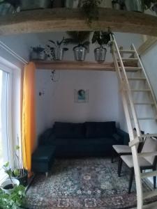 Dębowy Domek Agroturystyka