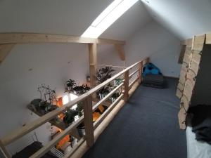 Dębowy Domek Agroturystyka