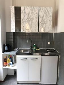 Le Logis du Lion - centre historique Belfort