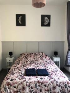Appartements Le Logis du Lion - centre historique Belfort : photos des chambres