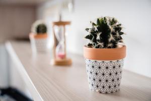 SEA-Cozy apartment Mamaia