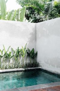 Beach Loft with Rooftop! Hidden GEM!