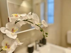 Happy Family Apartments Incantesimo