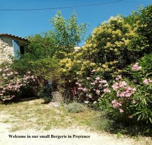 Appartements Bergerie small loft pres d-Aix en Provence : photos des chambres