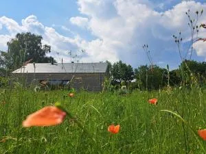 Hytte - Relais randonneur - capacité MAX de 9 personnes - Nadrin