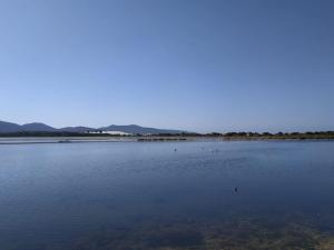 Appartamento Sulcis Sardegna img30