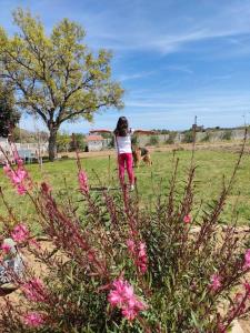 Appartamento Sulcis Sardegna img32