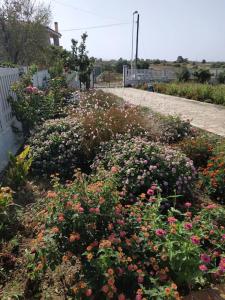 Appartamento Sulcis Sardegna img36