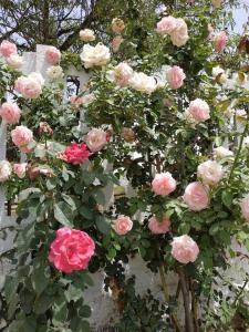 Appartamento Sulcis Sardegna img38