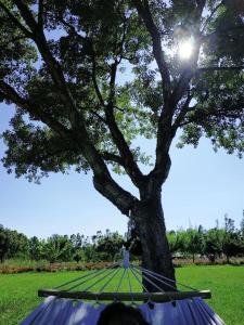 Appartamento Sulcis Sardegna img28