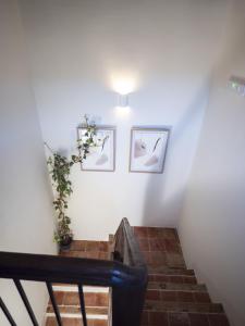 LA CASA AMARILLA APARTAMENTO ENEBRO