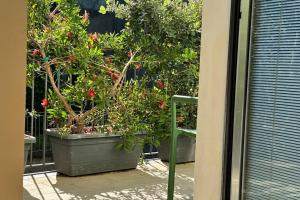 New cozy apartment near the sea