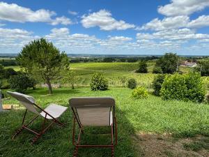 Perché aux milieux des vignes
