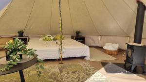 Saadjärve Glämping