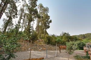 Finca aurora Ecorural