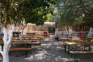 Social Camping JAL