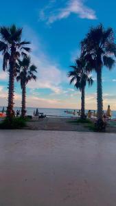 Grei Apartament