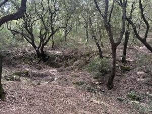 Via Roma House img13