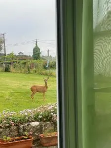 Une halte entre terre et mer - 普罗梅尔