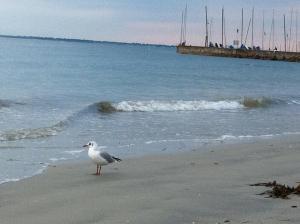 Maisons de vacances Une halte entre terre et mer : photos des chambres