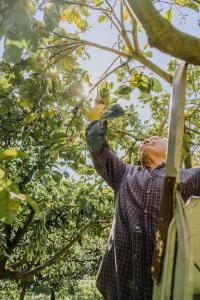 Hotel Su Barchile img52