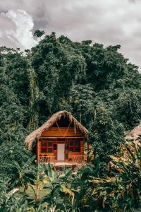 Magic Green Dentro del Parque Tayrona