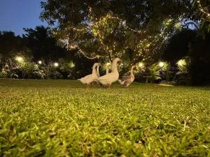 Farmhouse with Camping - Chinchavli