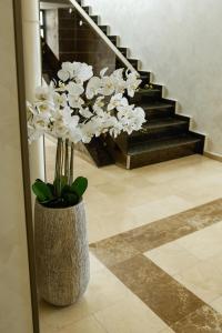 Studio Deluxe Astoria Lake