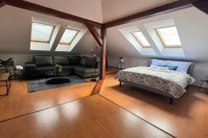 Kollarova Apartment - Witkowitz