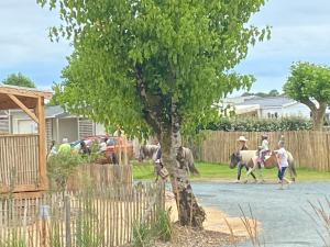Campings Richards Holidays : photos des chambres