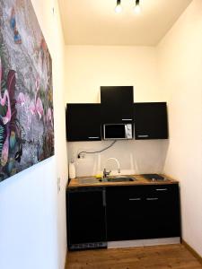 2 ZKB Apartement in Mannheim Buga - Küche - Parken