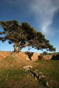 HOTEL ORLANDO Sardegna img63