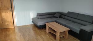 Green Garden Apartment