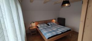 Green Garden Apartment 