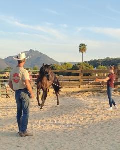 Cabaña rústica en un rancho con caballos, Prado del Rey, Andalucía