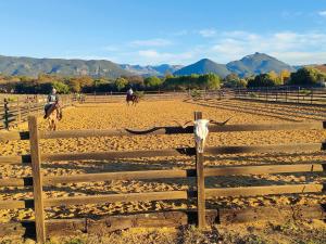 Cabaña rústica en un rancho con caballos, Prado del Rey, Andalucía