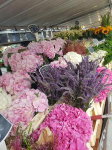 Mini Loft avec terrasse