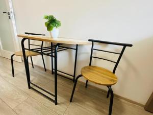 Q New Apartment - Palas Mall